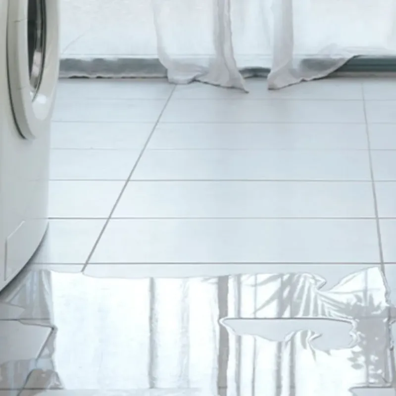 Appliance Leak Cleanup in College Place, WA