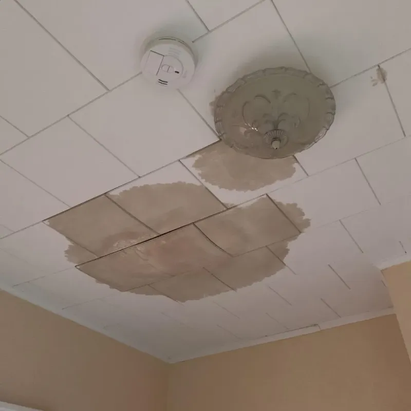 Ceiling Water Damage Repair in College Place, WA